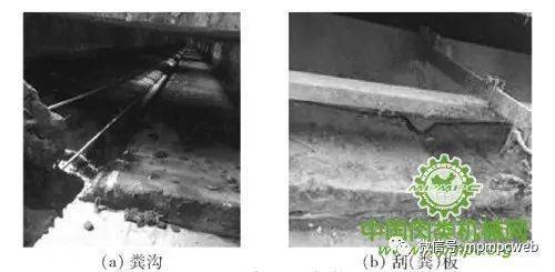 生豬養殖設施工程技術研究現狀與發展分析