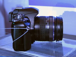 奧林巴斯E410雙頭套機 14-42mm與40-150mm鏡頭的經典演繹